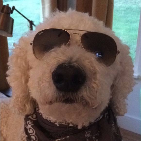 Meet your Posher, C - Picture 1 of 1